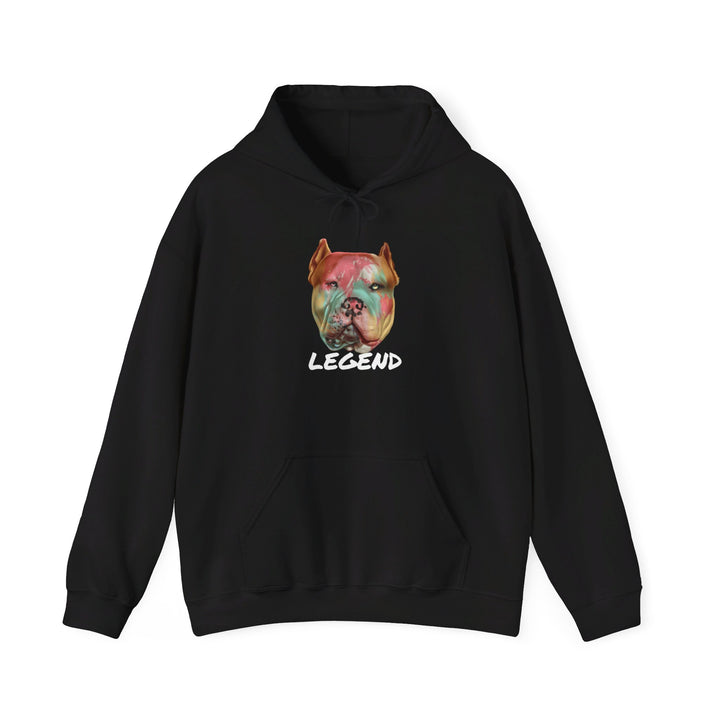 Legend Unisex Heavy Blend™ Hooded Sweatshirt