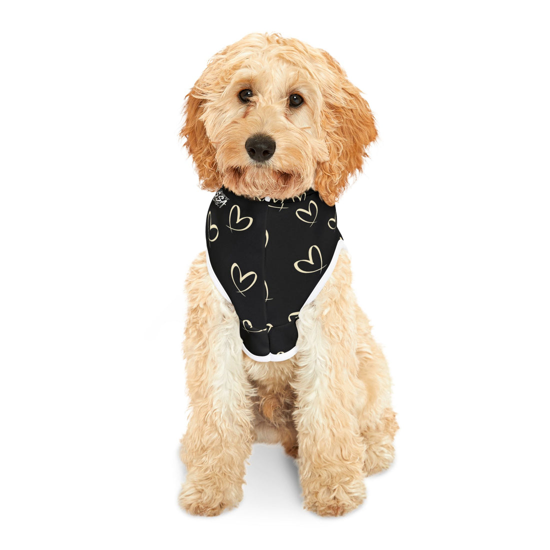 iHeart LUX Pet Hoodie