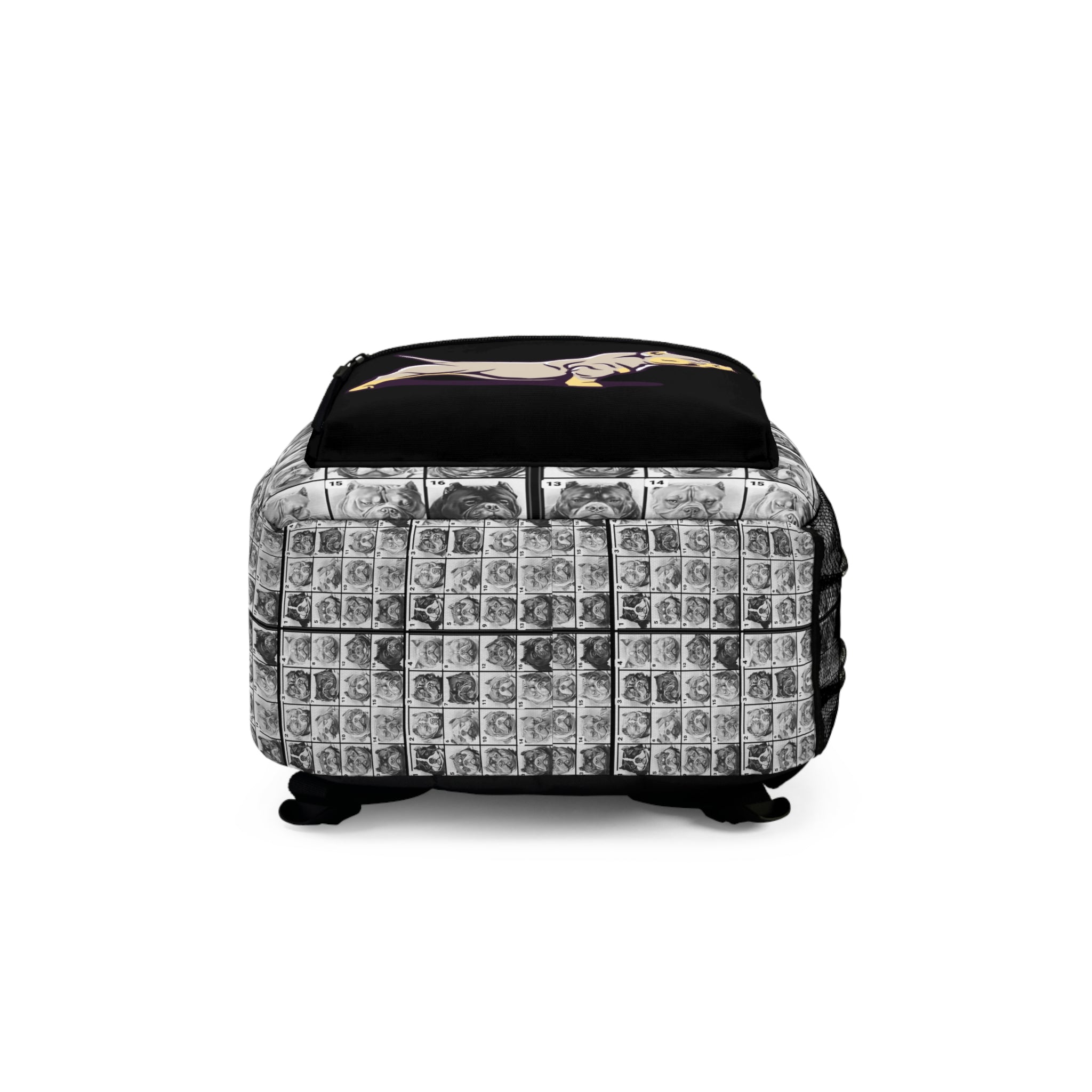 Bully Backpack Rocks AMERICAN BULLY Backpack – HOUSE OF ISSA