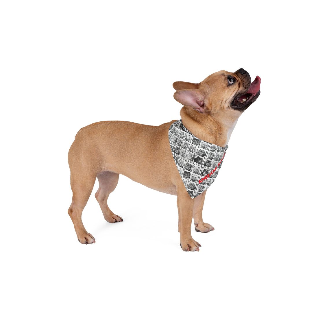 AMERICAN BULLY Bandana